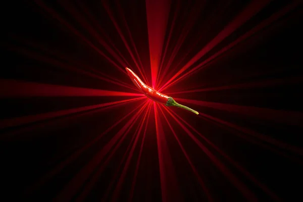 Κόκκινη Πιπεριά Τσίλι Στην Κορυφή Του Φωτός Ακτίνες Λέιζερ Φόντο — Φωτογραφία Αρχείου