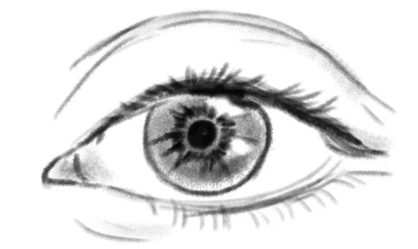 Primo Piano Dell Occhio Sfondo Bianco Disegno Matita — Foto Stock