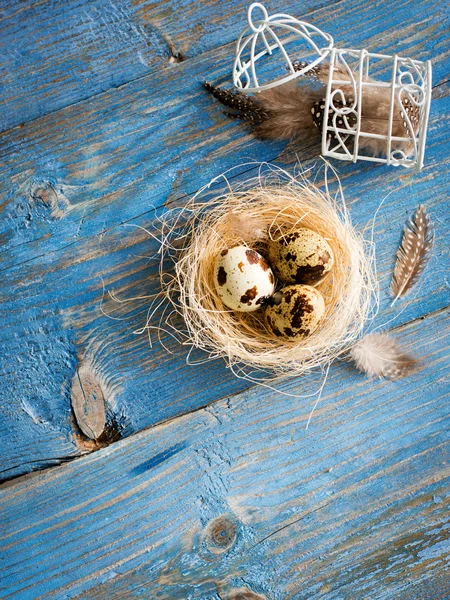Перепелині яйця на синьому дерев'яному фоні — стокове фото