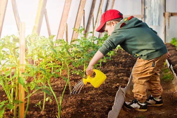 Kind drenken de tuin — Stockfoto