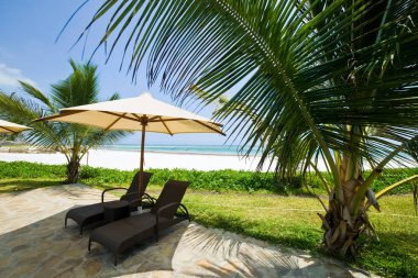 güzel egzotik bambu Hut görünümü