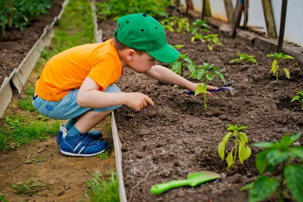 Kind im Garten — Stockfoto