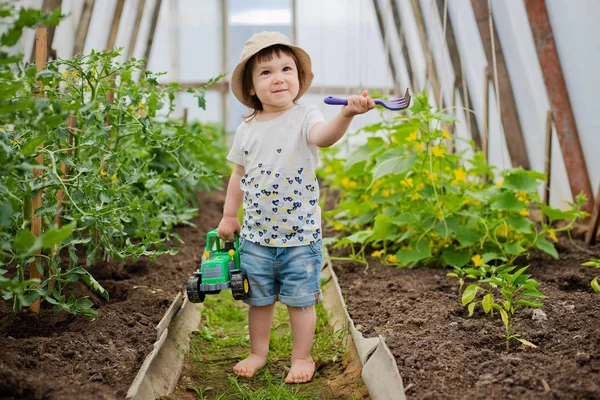 Kind im Gewächshaus — Stockfoto