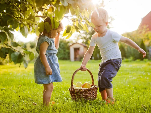 Kinder im Garten mit einem Korb — Stockfoto