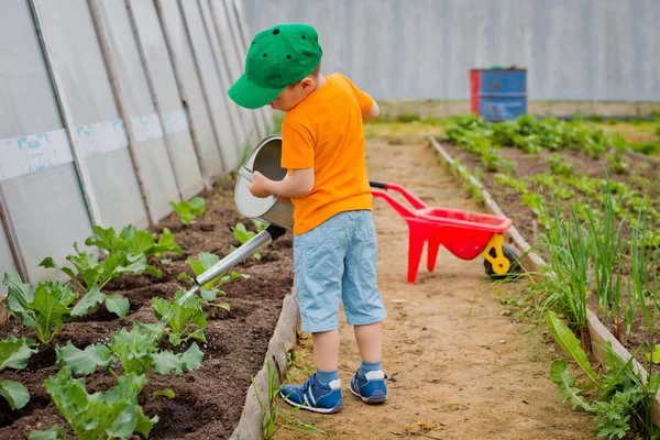 Kind gießt den Garten — Stockfoto