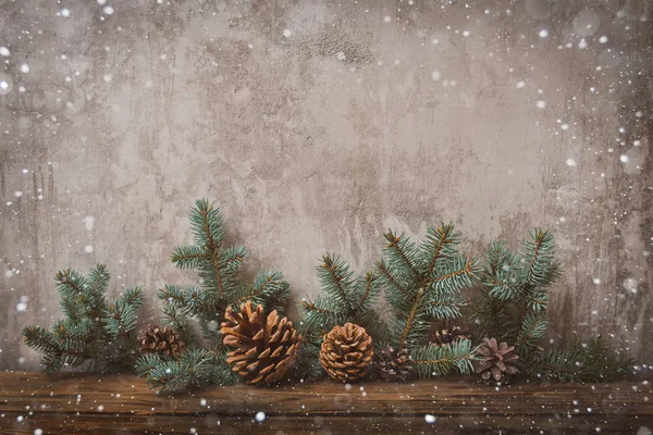 コンクリートの壁にクリスマス ツリー — ストック写真