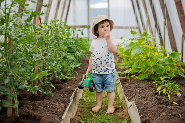 Kind im Gewächshaus — Stockfoto