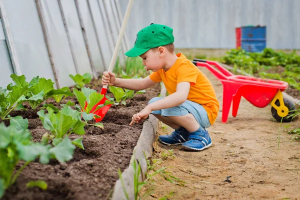 Kind in de tuin — Stockfoto