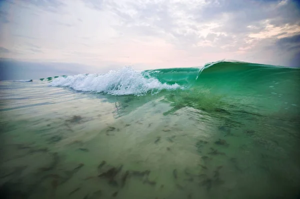 Бірюзова морська хвиля з водоростями — стокове фото