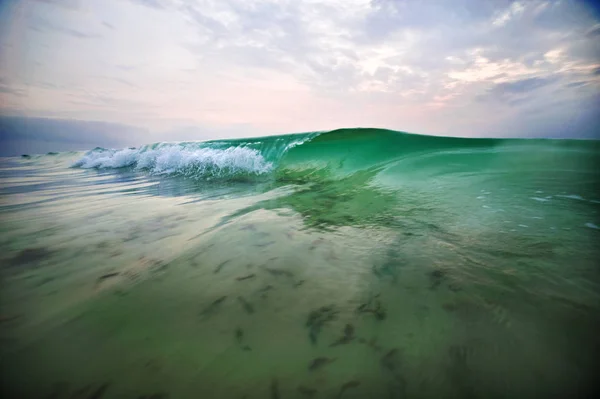 Бірюзова морська хвиля з водоростями — стокове фото