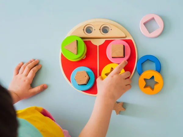 Niña colecciona clasificador multicolor de madera Juguetes para niños seguros de madera natural —  Fotos de Stock