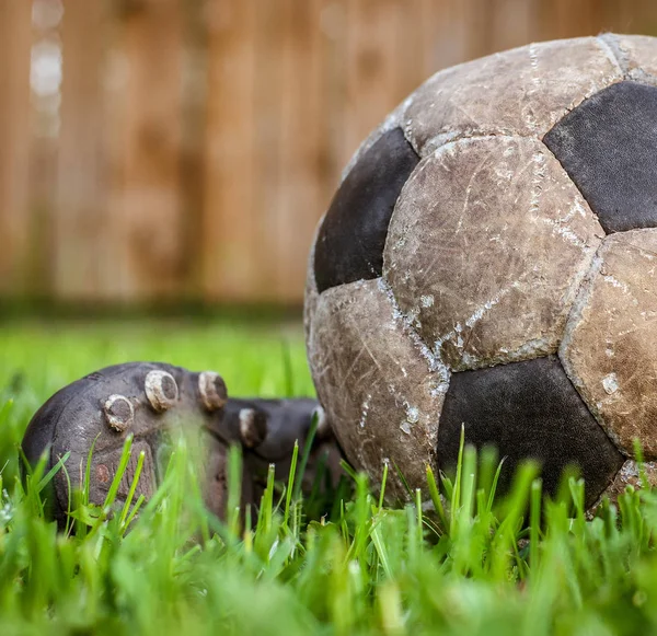 Old ball to play football, details of the sport