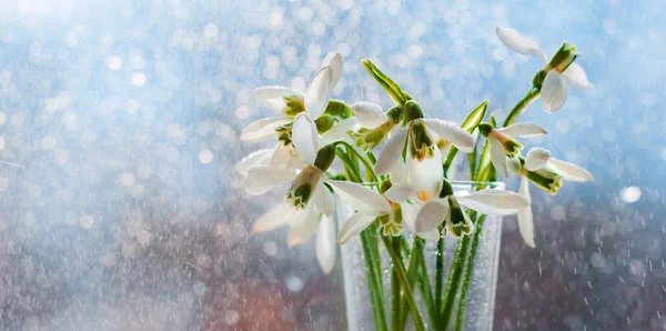 春の太陽の光の中でガラスの中で水滴の美しい花束は 水の飛行滴と窓の上に 自由空間美しいボケの背景が落ちる — ストック写真