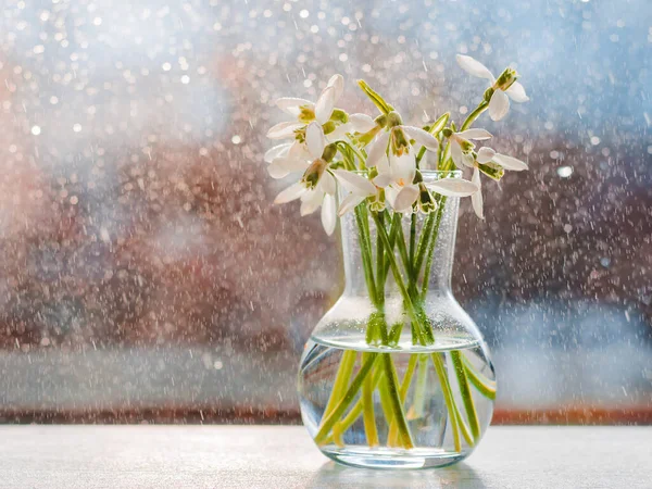 春の太陽の光の中でガラスの中で水滴の美しい花束は 水の飛行滴と窓の上に 自由空間美しいボケの背景が落ちる — ストック写真
