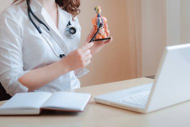 Doktorun elinin yakın çekimi insan organlarının anatomik modeli online doktorun konsültasyonu. Didactic kılavuz, çevrimiçi uzaklık öğrenme, çevrimiçi danışma, öğretmen