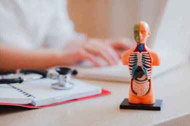 Doktorun elinin yakın çekimi insan organlarının anatomik modeli online doktorun konsültasyonu. Didactic kılavuz, çevrimiçi uzaklık öğrenme, çevrimiçi danışma, öğretmen