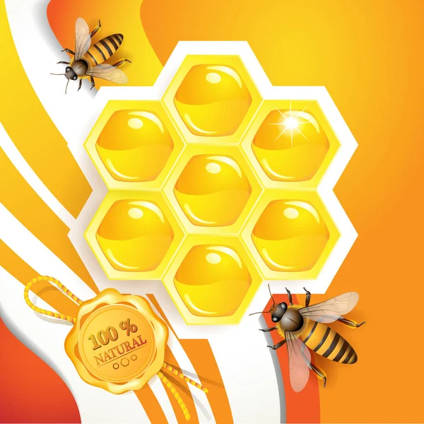 蜜蜂和蜂窝的背景 — 图库矢量图片