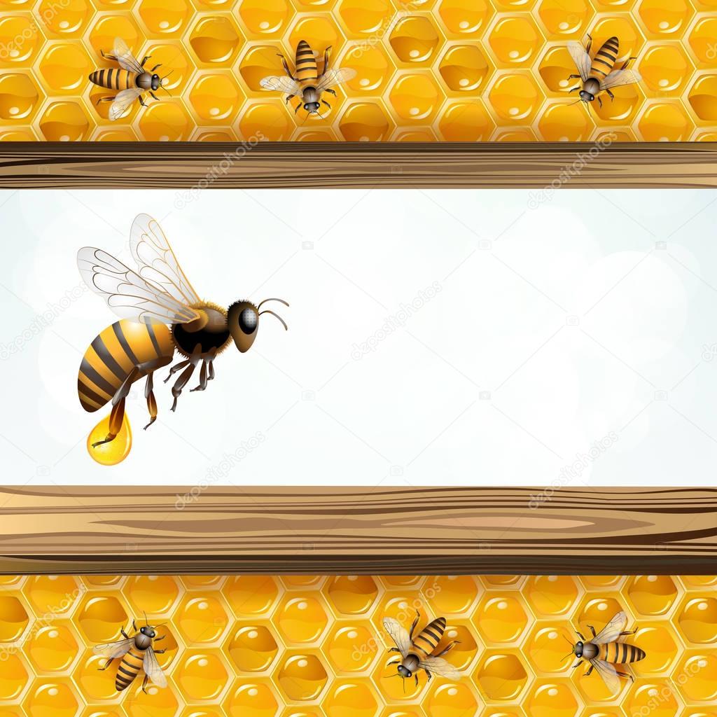  Background with bees and honeycombs