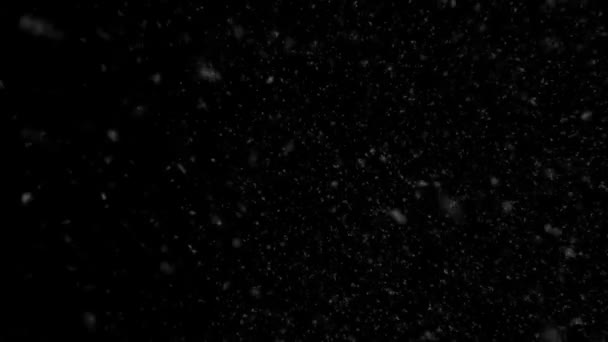 Сніг Падає Абстрактний Фон Матовий Широкий Кут — стокове відео