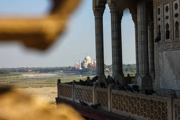 View Taj Mahal Lattice Jali Agra Uttar Pradesh India Shah — Stock Fotó