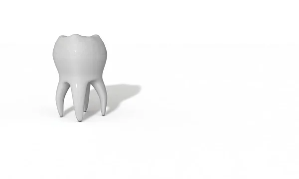 Ząb trójwymiarowy model wykonany dla zdrowia — Zdjęcie stockowe