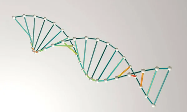 3D рендеринг модели ДНК — стоковое фото