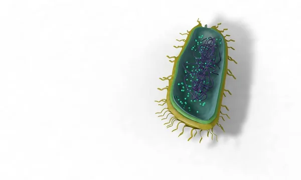 Modelo de estrutura bacteriana, fundo 3d render — Fotografia de Stock