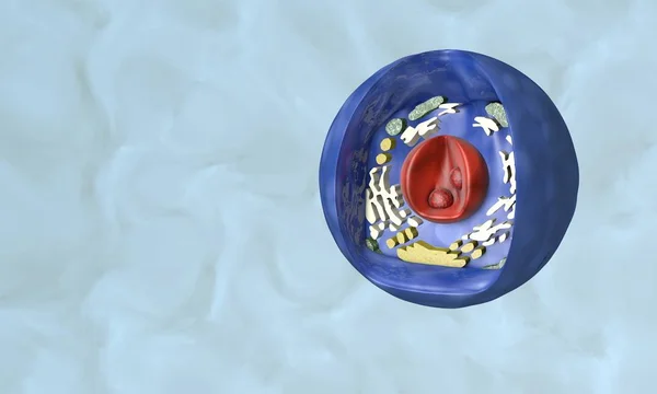 Hücre yapısı modeli, arka plan 3d render
