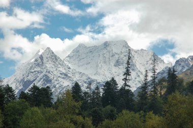 Orman sakladı dağlar