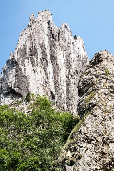 산의 경치에 큰 바위 — 스톡 사진