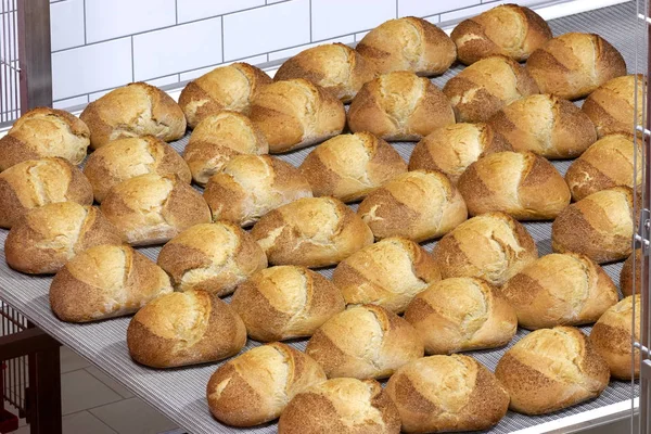 Herstellung von industriellem Brot — Stockfoto