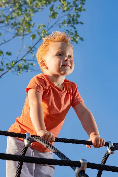 Little Boy Standing Ropes Playground Looking Confidently Distance New Growing — Stock Photo, Image