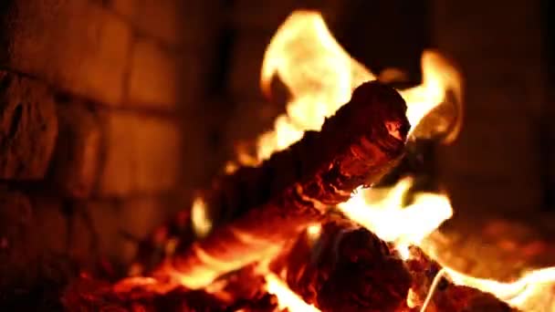 Holzkohle im Grill verbrennen — Stockvideo