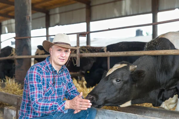 Çiftçi süt ineklerin ile çiftlikte çalışma — Stok fotoğraf