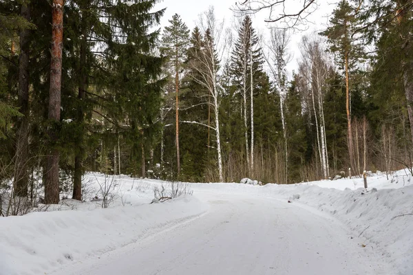 Strada in zona forestale girare — Foto Stock