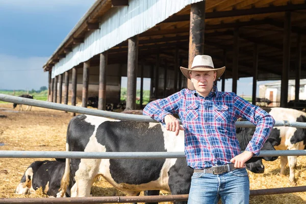 Agricultor trabajando en granja con vacas lecheras — Foto de Stock