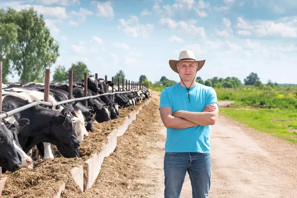 Man jordbrukare som arbetar på gård med mjölkkor — Stockfoto
