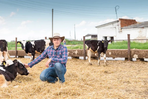 Rolnik, praca na farmie z krów mlecznych — Zdjęcie stockowe