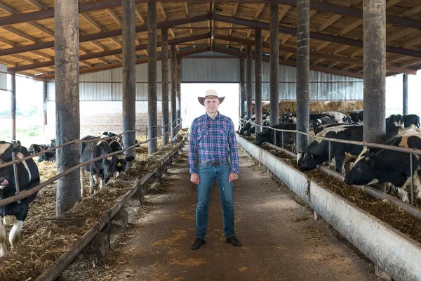 Agricultor trabajando en granja con vacas lecheras — Foto de Stock