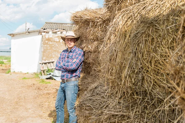 Agricultor que trabalha na fazenda com vacas leiteiras — Fotografia de Stock