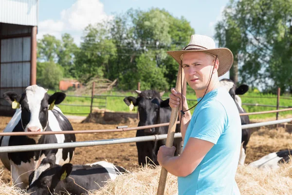 Agricoltore che lavora in azienda con vacche da latte — Foto Stock