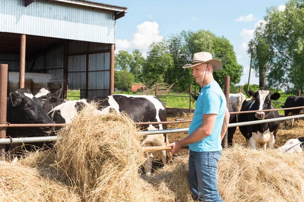 Agricultor alimentando vacas en granja — Foto de Stock