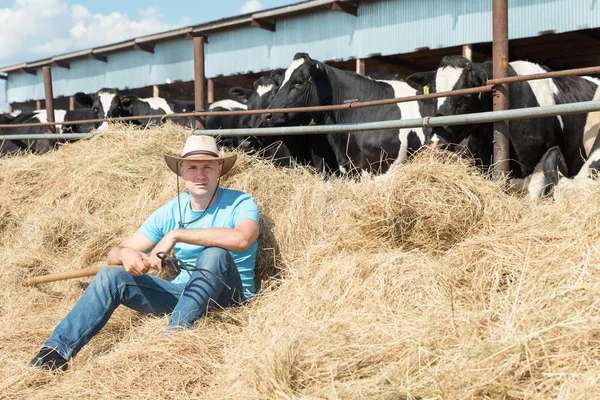 Agricultor trabajando en granja con vacas lecheras — Foto de Stock