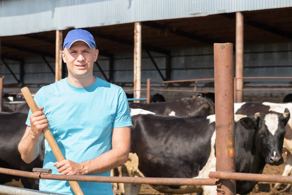 Hombre agricultor que trabaja en la granja con vacas lecheras — Foto de Stock