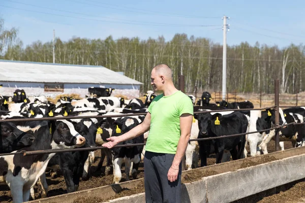 Mezőgazdaság az ipar, mezőgazdaság, emberek és az állattenyésztés — Stock Fotó