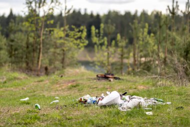 çöplüğü ormanda