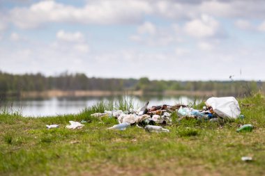 çöplüğü ormanda