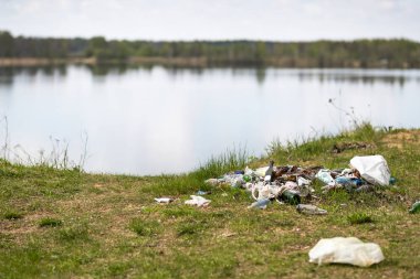 çöplüğü ormanda