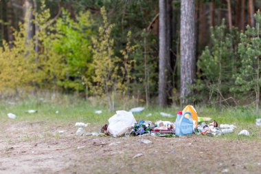 çöplüğü ormanda