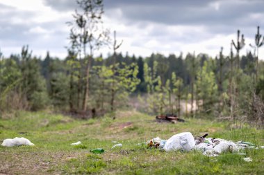 Ormanda çöp dökümü